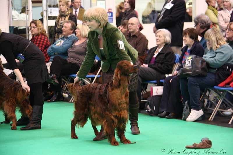 Crufts2011 738.jpg